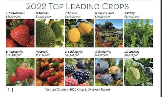 2022 Top Ten Crops