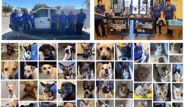 Ventura County Animal Services Team Rescues 50 Dogs And Cats From Flooded Riverside County Shelter