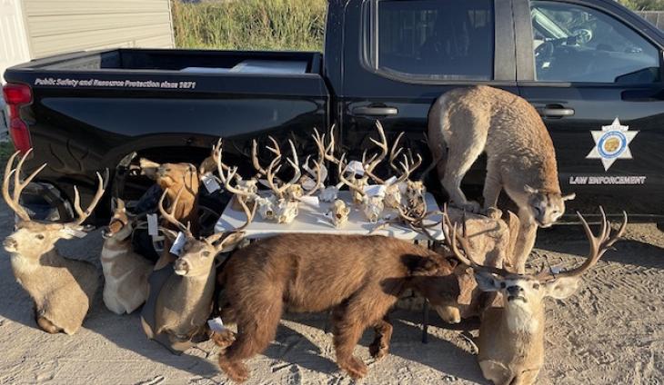 7 Sentenced In Extensive Ventura County Poaching Conspiracy, AND other stories