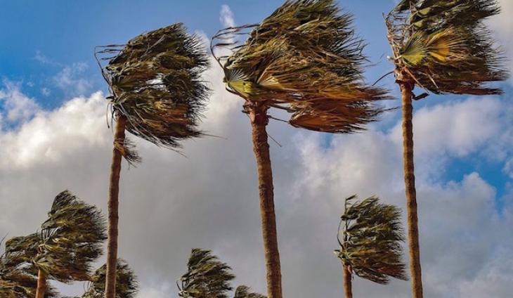 Santa Ana Winds Come And Go Bringing Nothing Summer To Ventura County